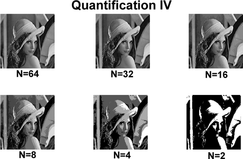 
   
     Figures 4-5 : Various versions of image LENA obtained using the original image 
   
  