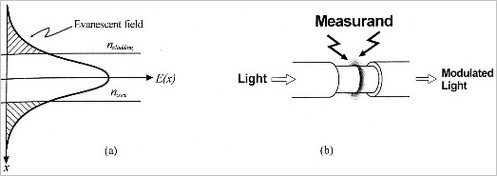 

   

    Figure 3-a: Evanescent field in an optical fiber. -b: Principle of the transducer on an evanescent field 

   

  