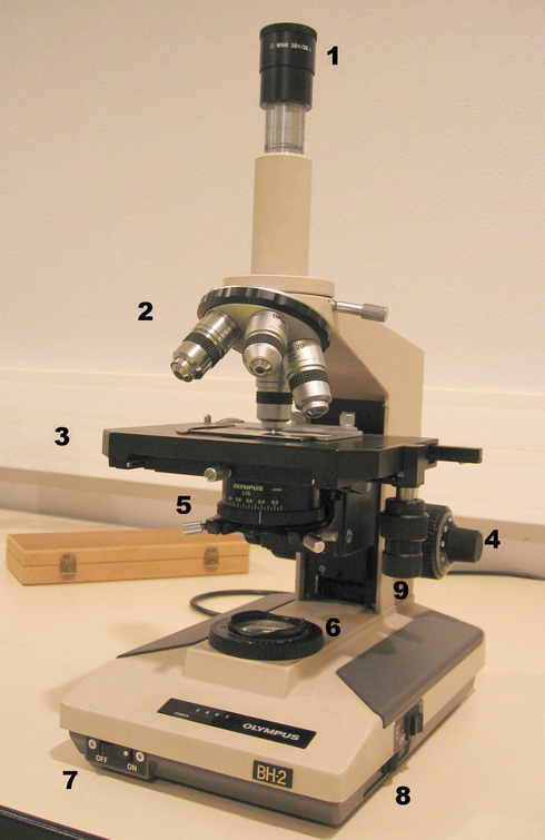
   
    Figure 13 : Microscope biologique simple
   
  