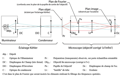 
   
    Figure 8 : Double diffraction et filtrage des fréquence spatiales en microscopie 
   
  