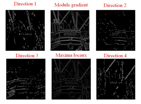 
   
    Exemple de visualisation des maxima locaux dans les quatre directions séparément puis simultanément
   
  